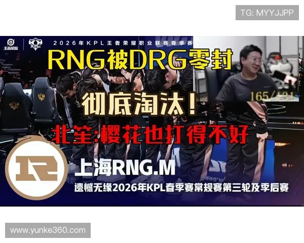 王者荣耀最新力量排行榜揭晓RNG战队荣登第八位引发热议